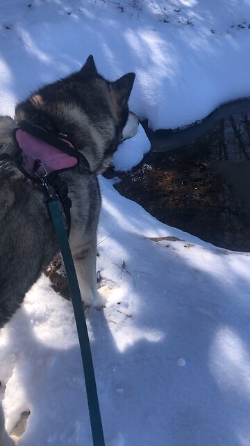 Wednesday March 26, What dose the Lord your God require of you?