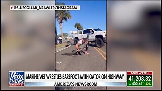 Marine Vet Wrestles Alligator on Florida Highway While Barefoot