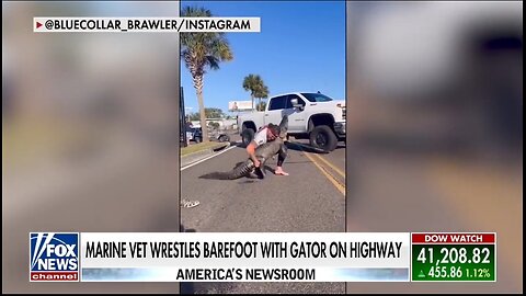Marine Vet Wrestles Alligator on Florida Highway While Barefoot