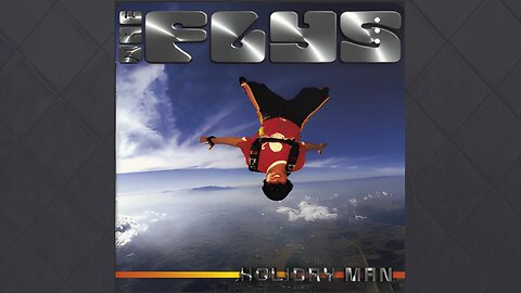 The Fly's - Got You Where I Want You