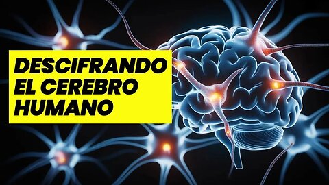 [ESPAÑOL] TOP 7 Curiosidades PSICOLÓGICAS que no creerías sobre el cerebro humano | Psicoteka