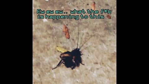 Oh Hell No. I'm scared.