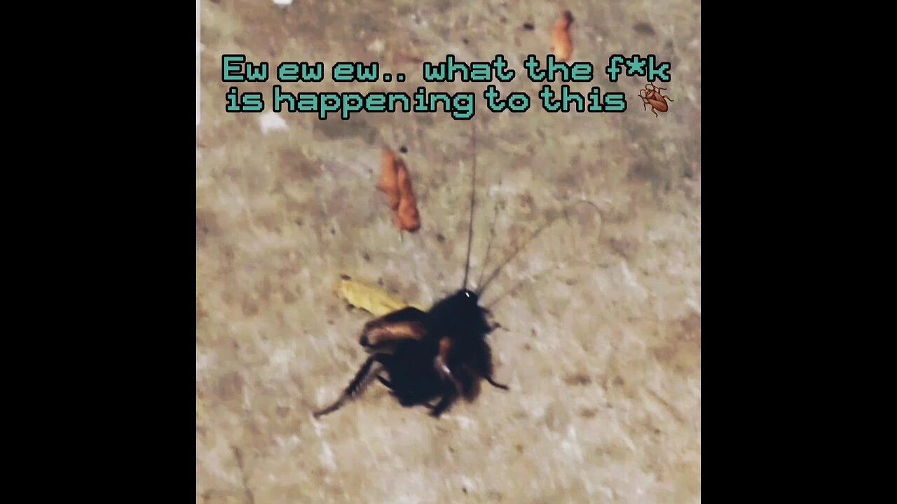 Oh Hell No. I'm scared.