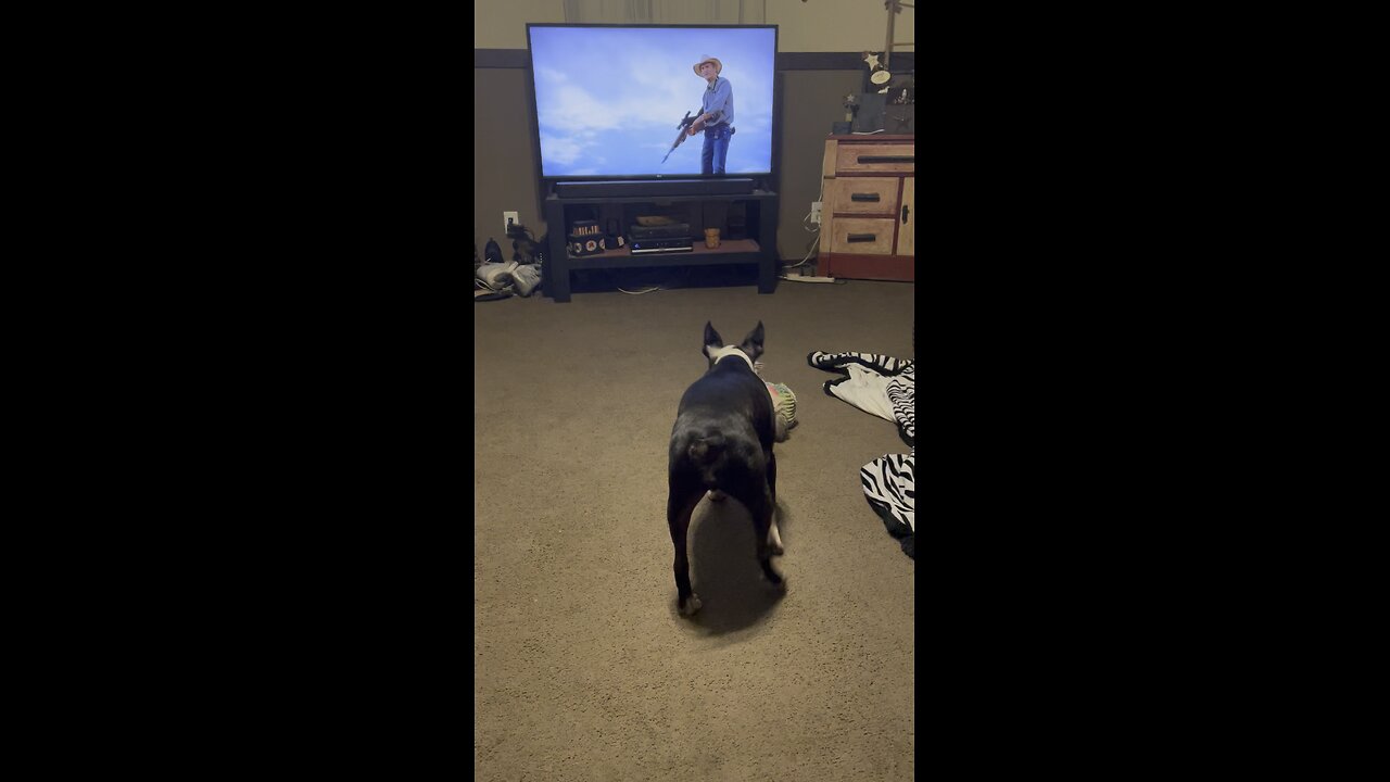 lol