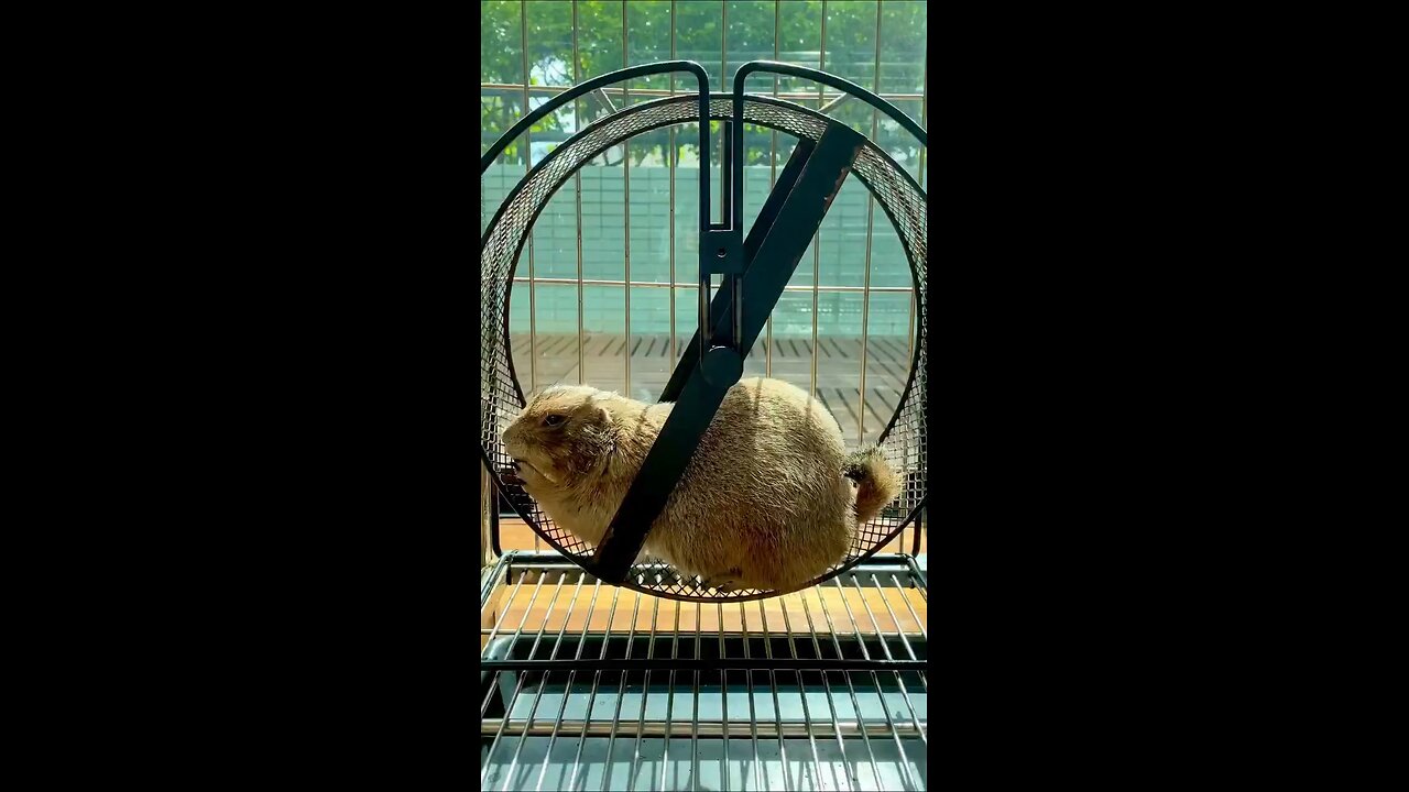 First workout after Christmas 😂