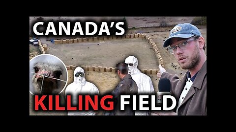 OSTRICH FARM ... CANADA'S KILLING FEILD