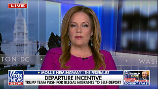 Mollie Hemingway: Rogue Judges Ignoring The Election And Implementing Democrat Immigration Policy