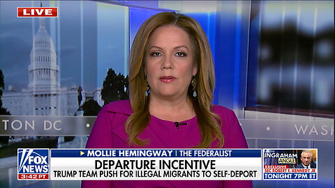 Mollie Hemingway: Rogue Judges Ignoring The Election And Implementing Democrat Immigration Policy