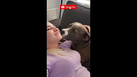 Kiss Your Dog on the Head and See Their Reaction Challenge _dog _shorts _challenge _funny _doglover