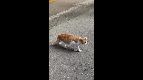 WTF is happening here__