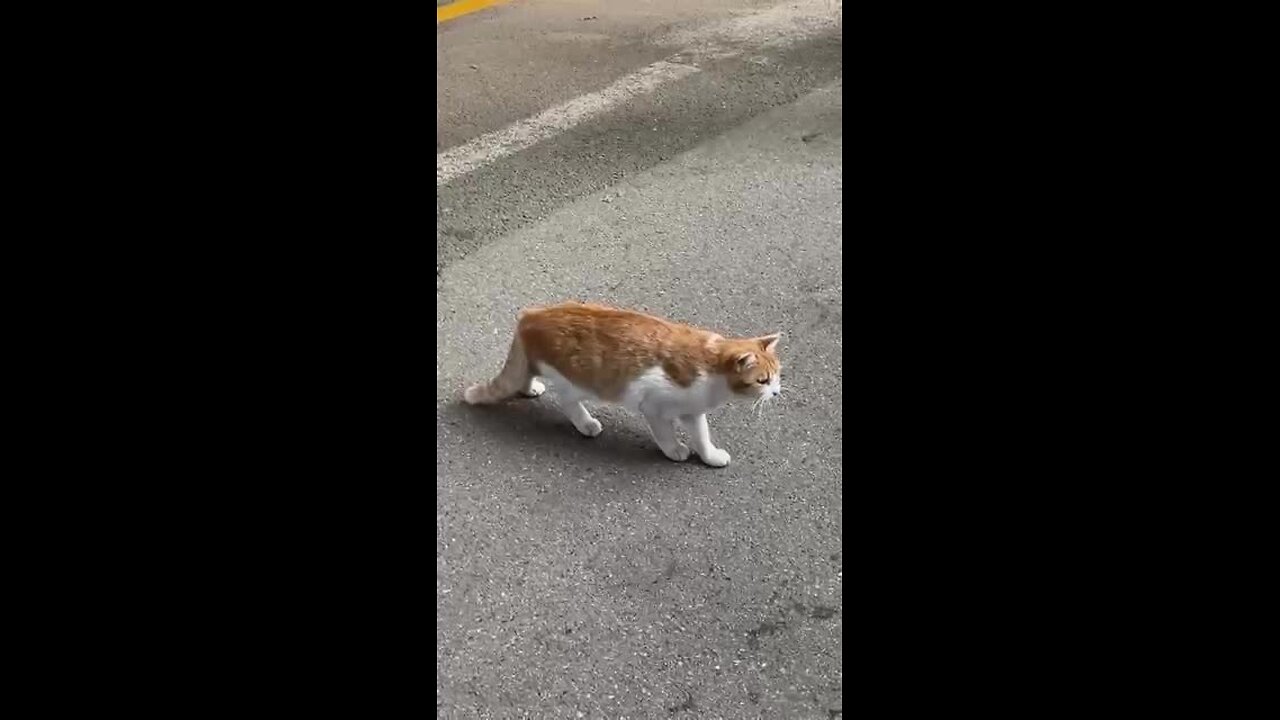 WTF is happening here__