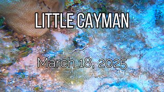 Little Cayman - Tuesday, March 18, 2025