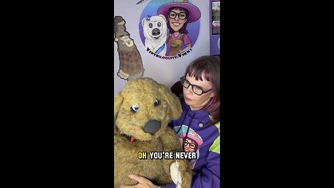 Sad dog