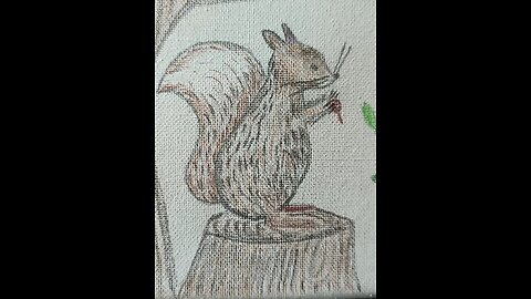SQUIRREL - ARDILLA - EGERN