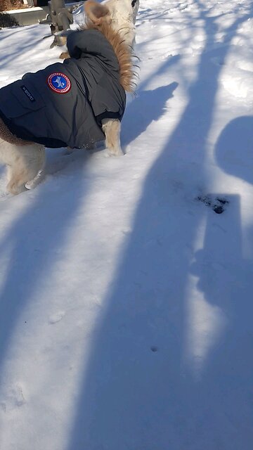 20260202. Remember your God.