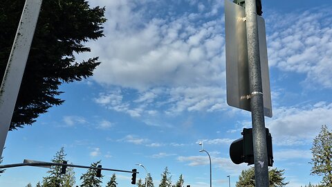 Clear Blue Skies + Mountain Views 1 4 2026 Bellevue, WA