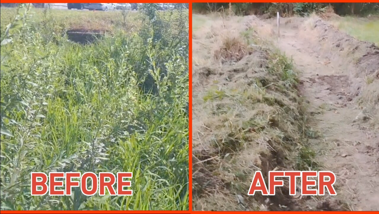 I DID THE CITY'S JOB SO YOU DON'T HAVE TO | I built a ditch for science