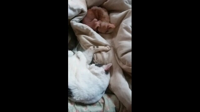 waking up my babies