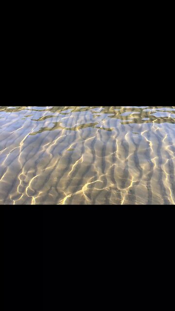 The Sand Beneath The Shallow Water Of The Sea