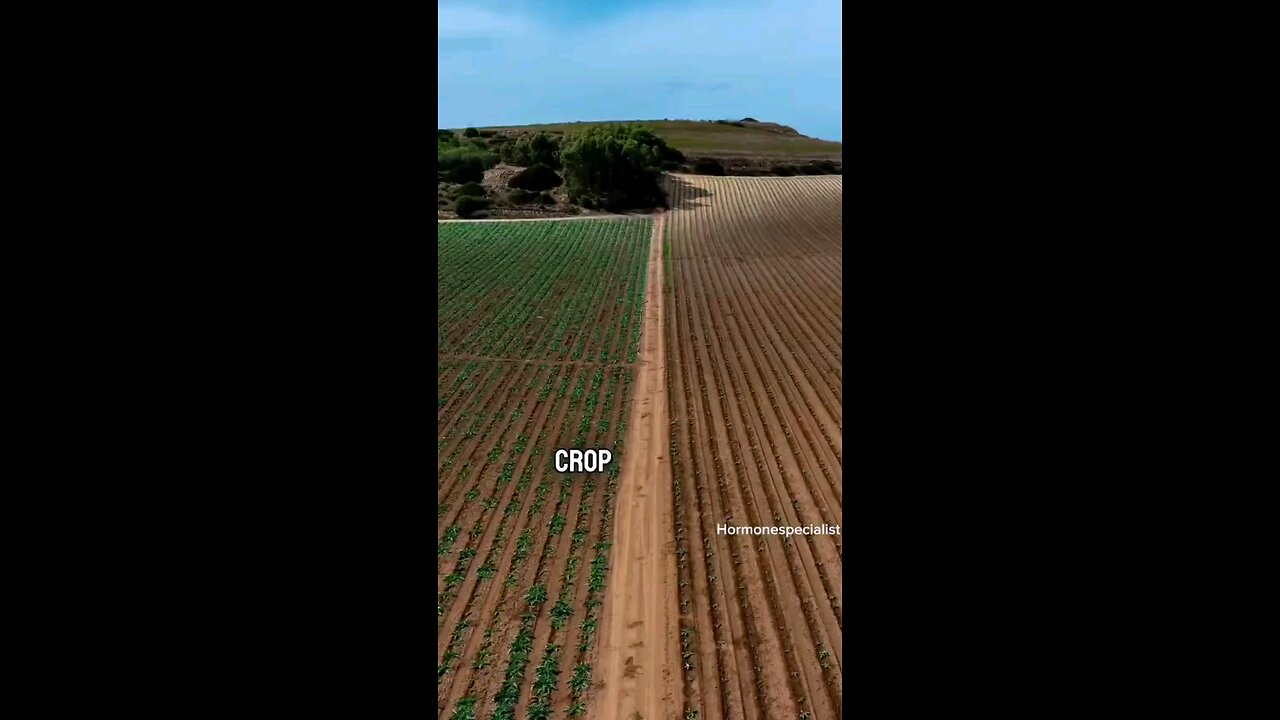 Bayer Quietly Releasing Genetically Engineered Microbes Across U.S. Farmland