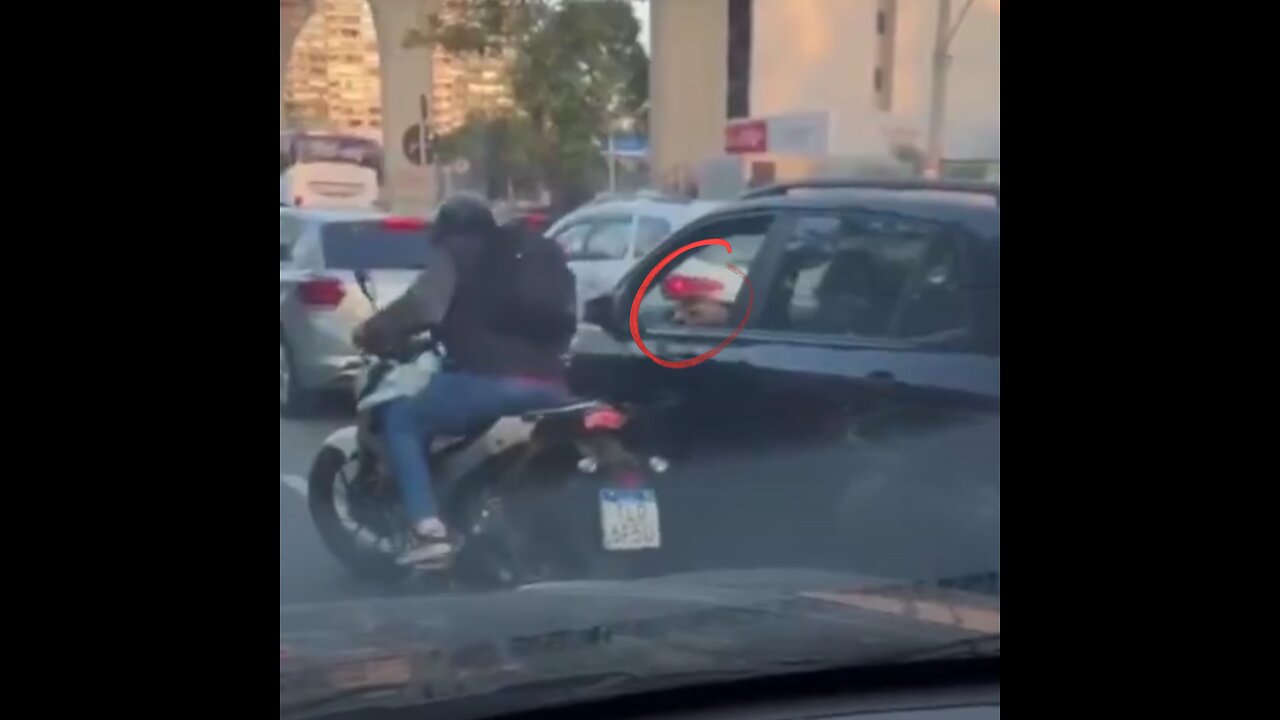Conductor desarma y dispara a ladrón en pleno tráfico en Sao Paulo