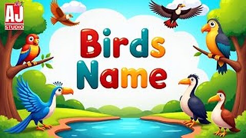 Birds name for kids😊