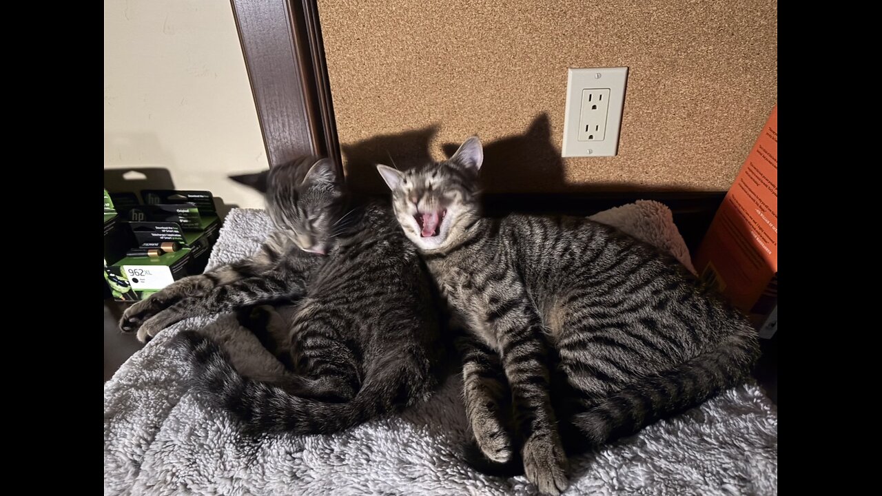 Episode 3016 CWSA 11/12/25