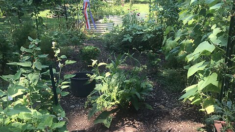 Garden tour Part 1 with compost bin tour