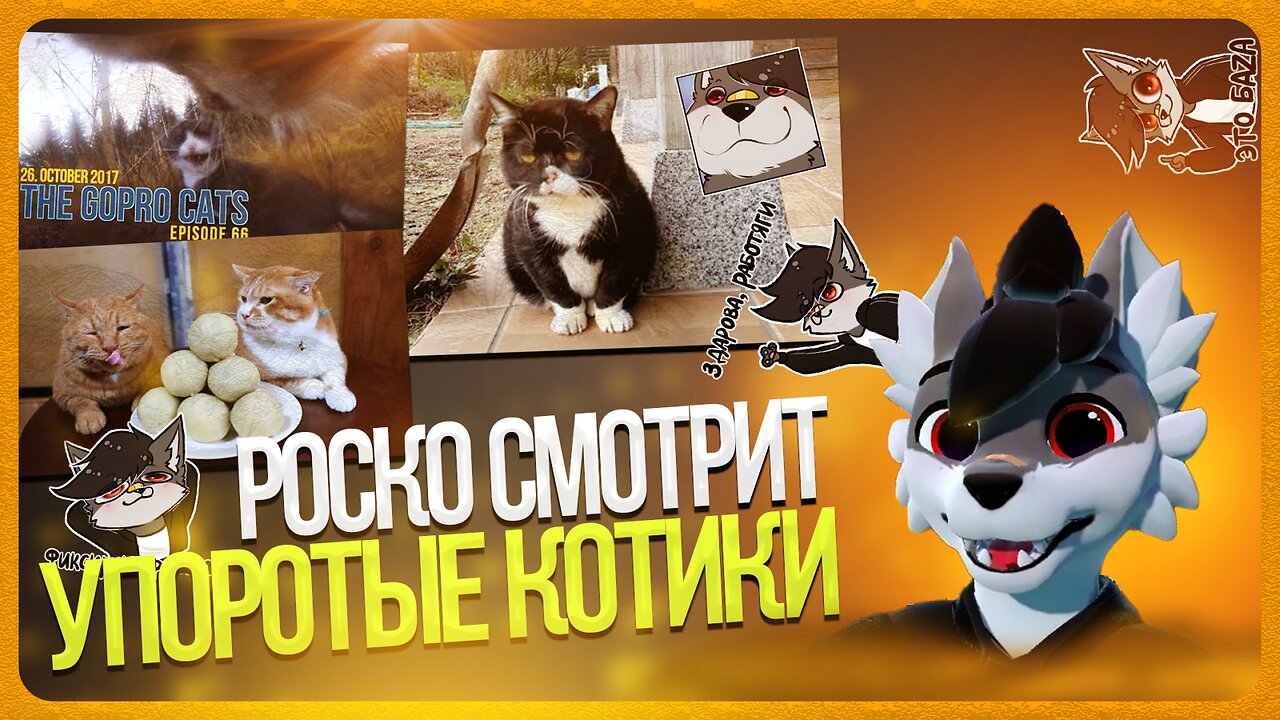 🐺 Роско смотрит видосы с котиками 🐱 | ЧАСТЬ 6