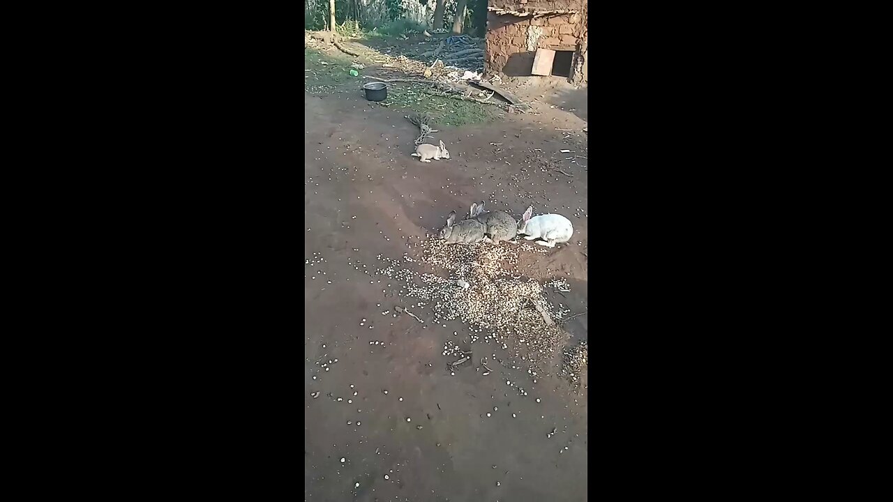 great farming skills
