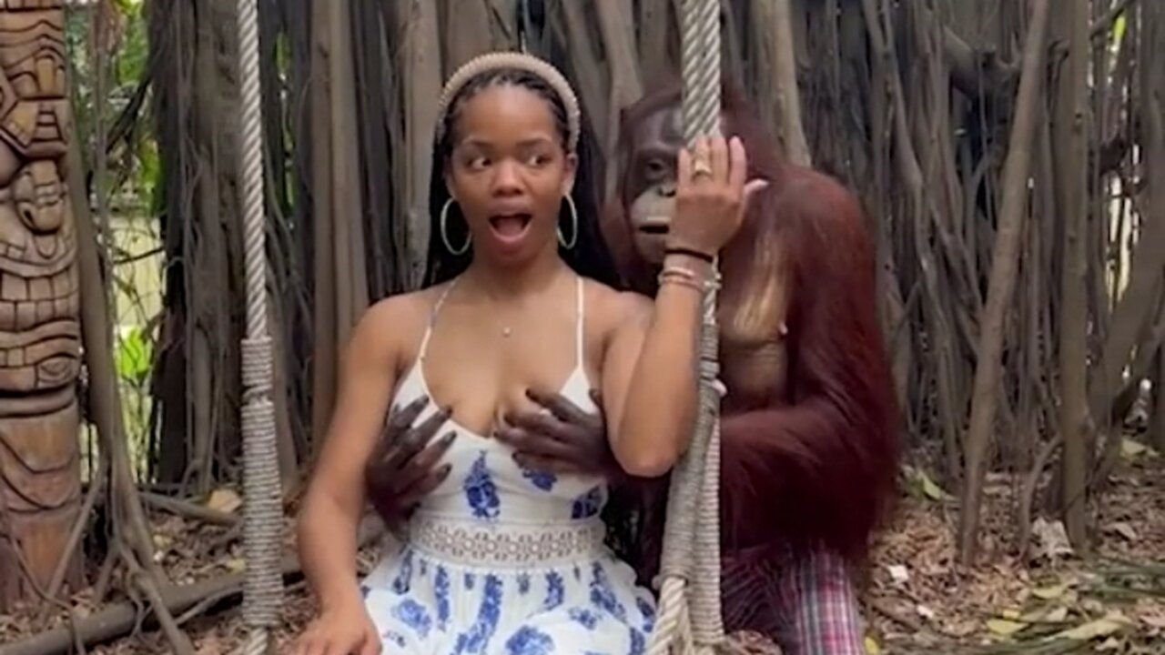 Best Pranks Video of the year 2025 Must laugh