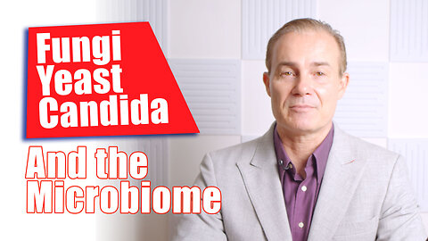 Fungi/Yeast/Candida and the Microbiome​ | The Microbiome Expert