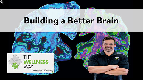 Building a Better Brain