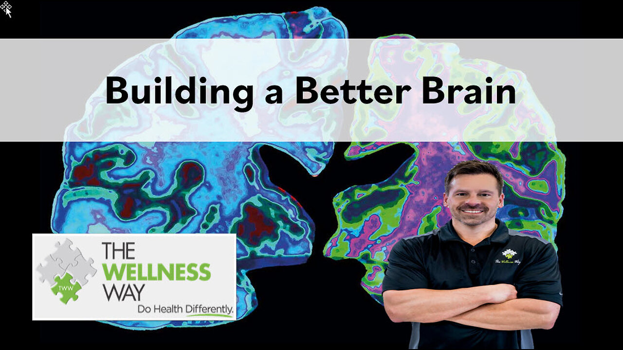 Building a Better Brain