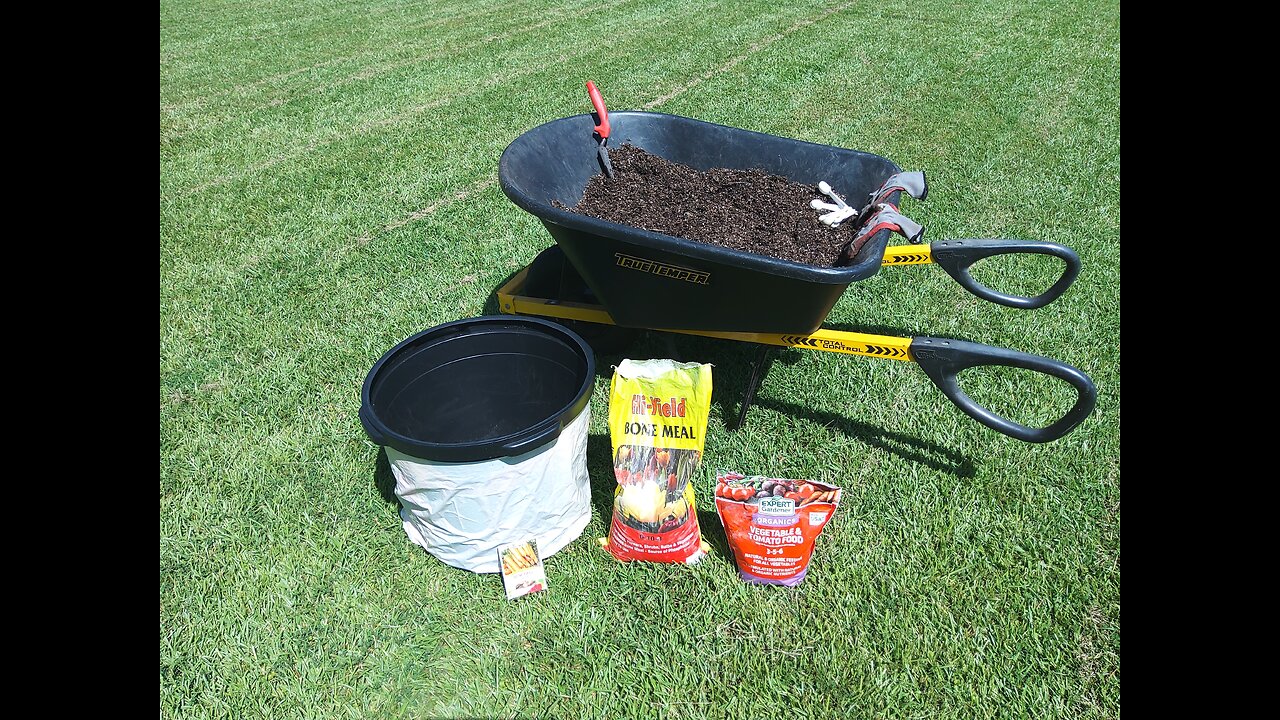 Planting August Carrots For Fall Harvest 8/1/25