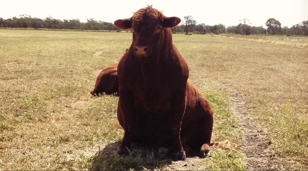 Hilo's Friday Night Roundup ////////// Congrats Joe