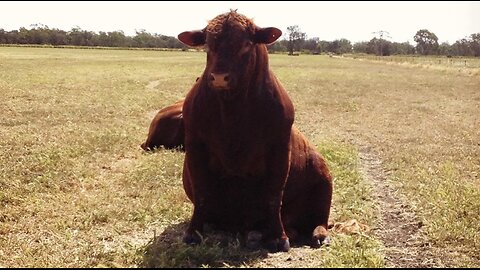 Hilo's Friday Night Roundup ////////// Congrats Joe