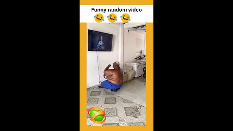 Funny random videos 😂