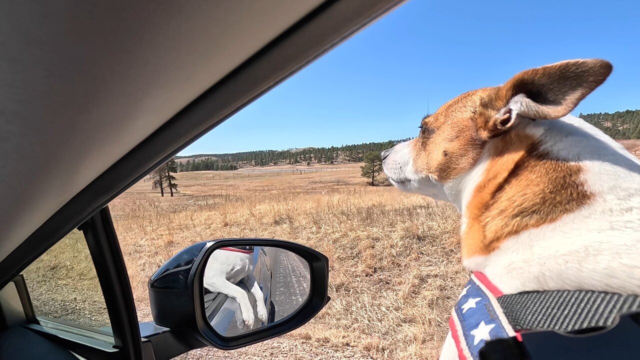 Catching some wind