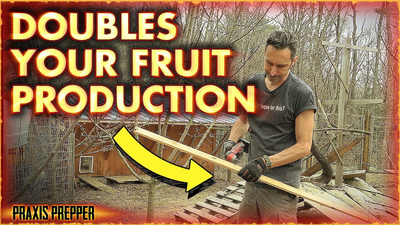 Game Changer for Fruit Orchards