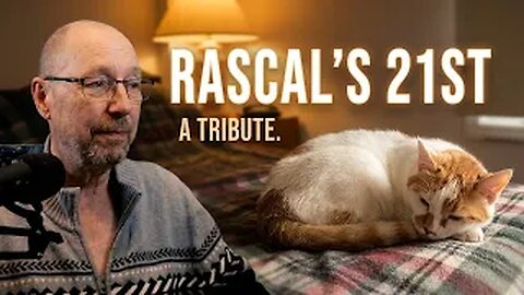 Today Would Have Been Rascals 21 Birthday! #cat #pets #belovedpets
