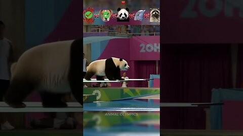 Crab vs Dog vs Panda vs Dolphin vs Sloth -Olympic Diving Challenge
