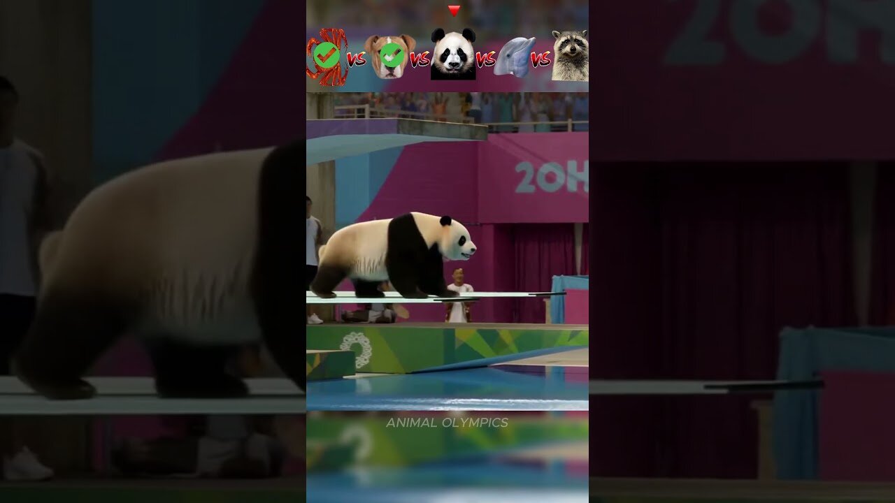 Crab vs Dog vs Panda vs Dolphin vs Sloth -Olympic Diving Challenge