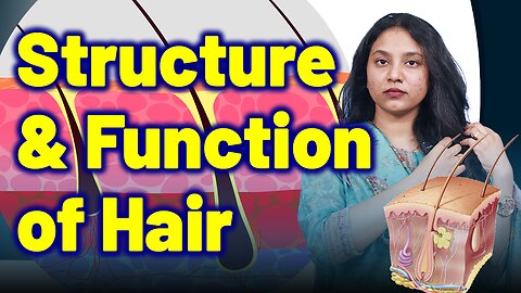 Function & Structure of Hair in Telogen Effluvium,Diffuse Hair Fall Treatment Cure| Homeopathy