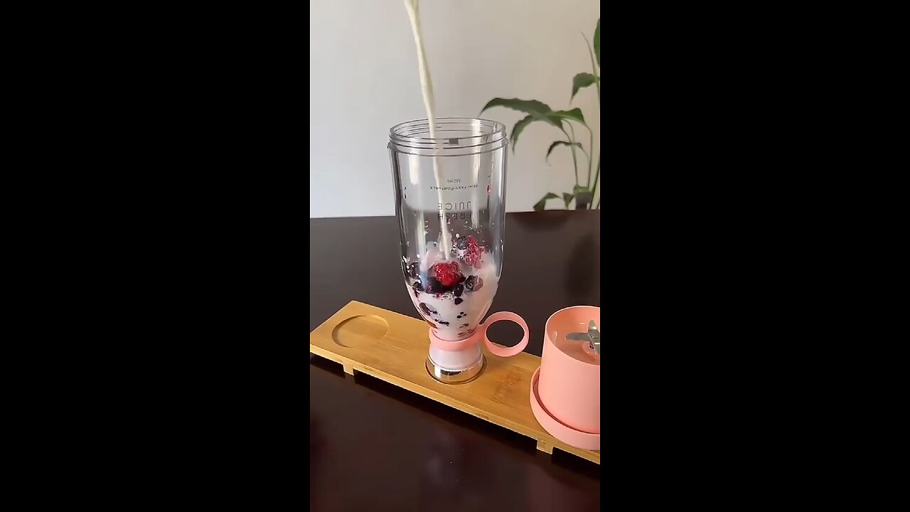 PORTABLE MULTIPURPOSE MIXER CUM GRINDER