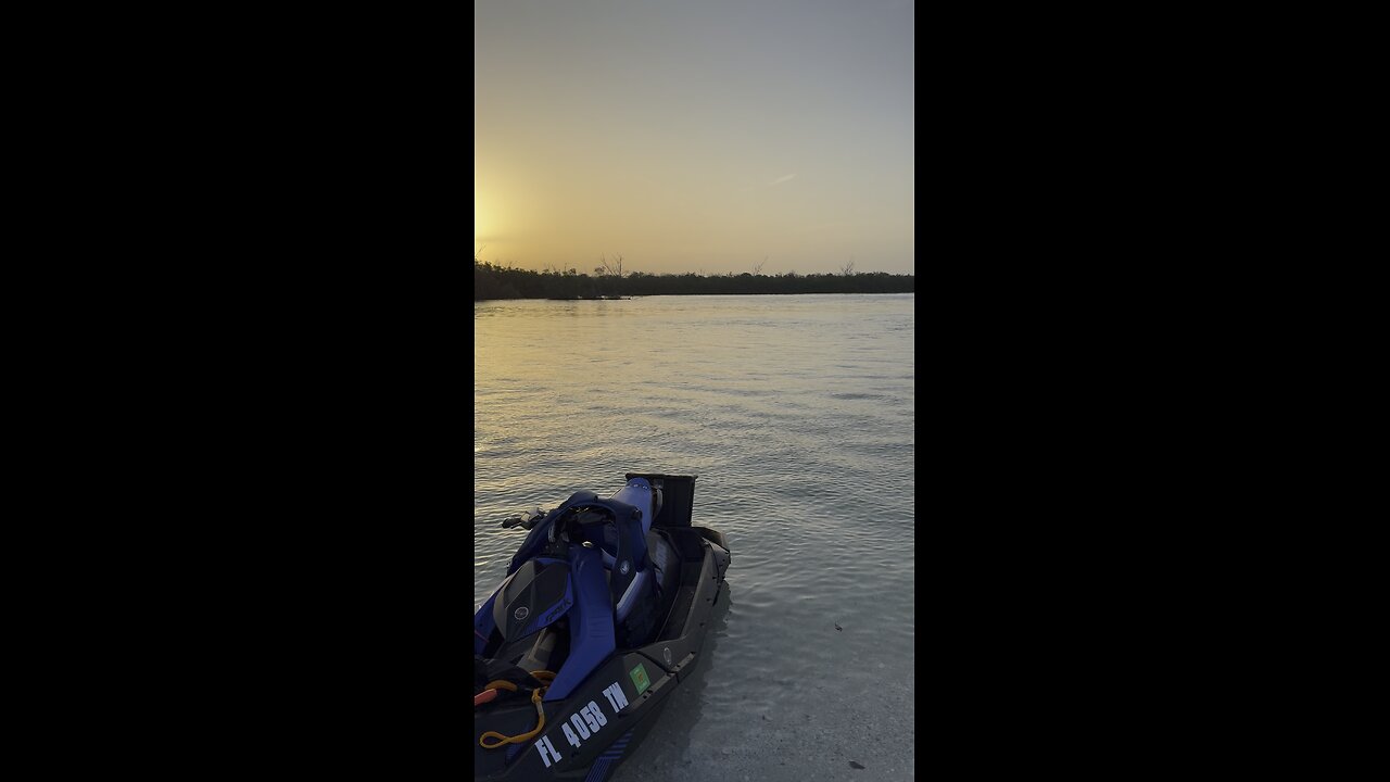 Manatee Wake Up Call | 4K