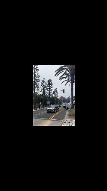Marxist in Los Angeles hurls stones at Police & Civilian vehicles!!! PAID NO DOUBT! ALL ORGANIZED!!!