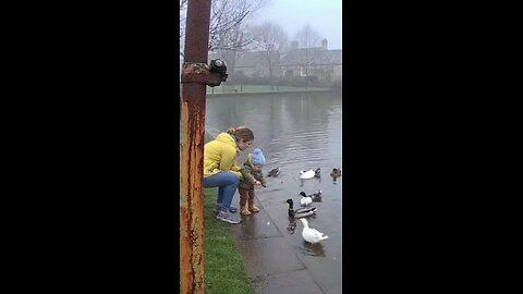 Caught on Camera: African Forest Man Battles Wild Animals 😨📹 #ManVsWild #AfricanForest