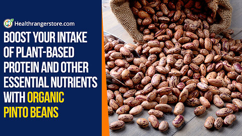 Boost your intake of plant-based protein and other essential nutrients with Organic Pinto Beans