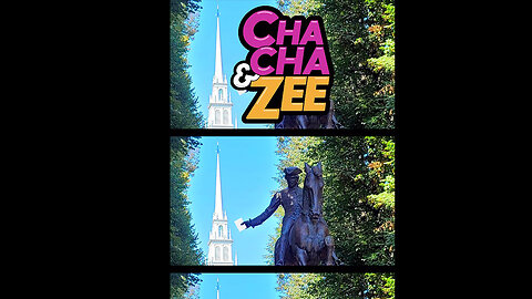 Meet the Horse That Helped America!